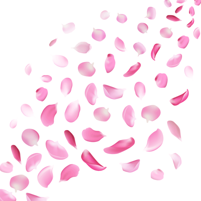 png花瓣漂浮素材花朵粉色花瓣透明背景素材