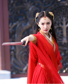 arliya采集到杨幂