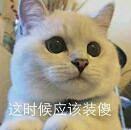 Alin先生采集到表情 搞笑