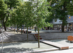 INSANE_K采集到TREE ARRAY