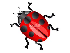 卡通瓢虫  - 源文件下载【酷图网】卡通瓢虫素材,瓢虫,瓢虫海报素材,可爱,宣传,瓢虫素材,图片,包装,卡通瓢虫,插画,插图,免扣,素材,元素,矢量,卡通,手绘,手绘瓢虫,瓢虫标志,logo,简约,图案,图标,瓢虫插画,儿童绘本,矢量瓢虫,七星瓢虫,昆虫,Q版,动物,卡通昆虫,背景,贴纸,扁平,春天,夏天,春天素材,渐变,精美,趣味,