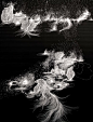 Untitled by Sandra Cinto