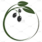 绿色橄榄枝圆形标志或象征