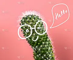 可爱有趣的贺卡仙人掌与画的脸