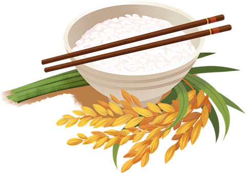 世界粮食日节约粮食光盘行动次图_设计页－...
