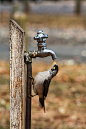 Photograph A Quick Drink by Russ Francis on 500px