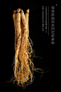 (拍1发3)康象东北长白山整枝野山参人参花茶生晒参人参片礼盒泡酒-tmall.com天猫
