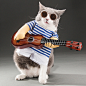 搞笑宠物直立变身装猫咪衣服小狗狗搞怪猫英短可爱夏装两脚衣秋装-tmall.com天猫