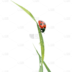 用户4ifHev8W采集到节气海报