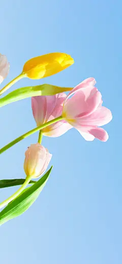 微博 – 随时随地发现新鲜事