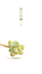 多肉植物插画 | 孙燕子- - 练习作品 - 涂鸦王国插画