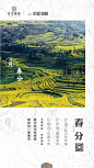 春分-04