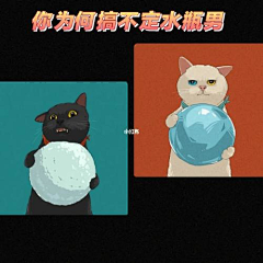 野画采集到猫咪