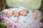 同卵四胞胎姐妹，这种现象出现的几率只有6500万分之一
