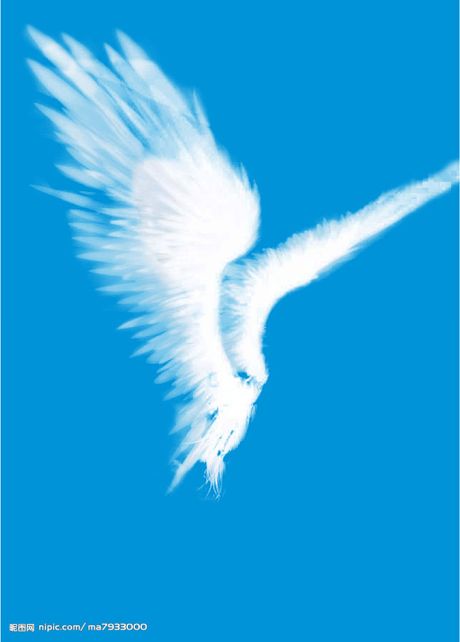 天使翅膀2源文件
