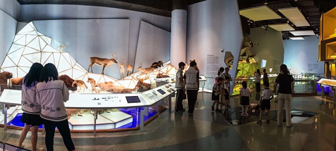 The Witte Museum : G...