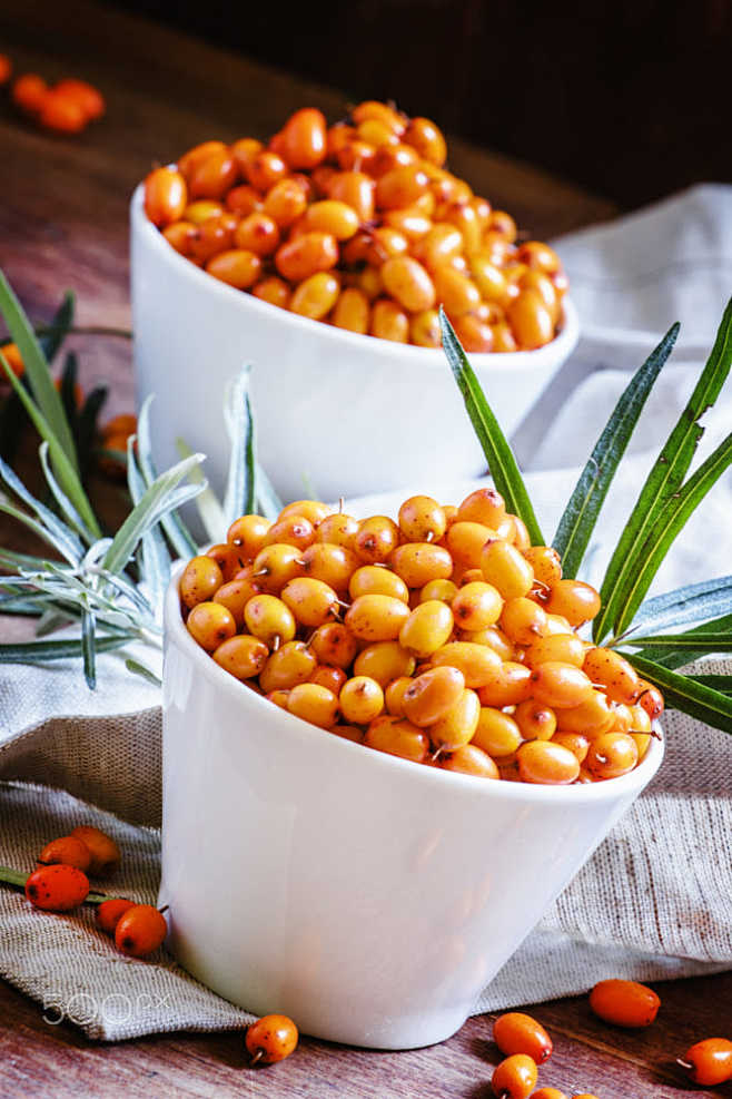 Fresh sea buckthorn ...