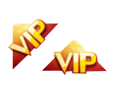 金色VIP图标