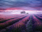 Birgit Pittelkow在 500px 上的照片One Day in the South