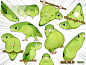 干货！手绘超萌动物pose参考

twi:HIYORATORY
手绘素材超话  #手绘#