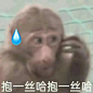 吗喽表情包 - 小红书