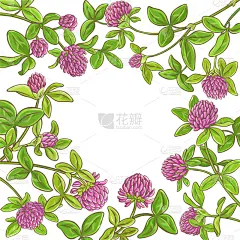 枝,三叶草,边框,植物群,草,植物,夏天,草图,花,除草