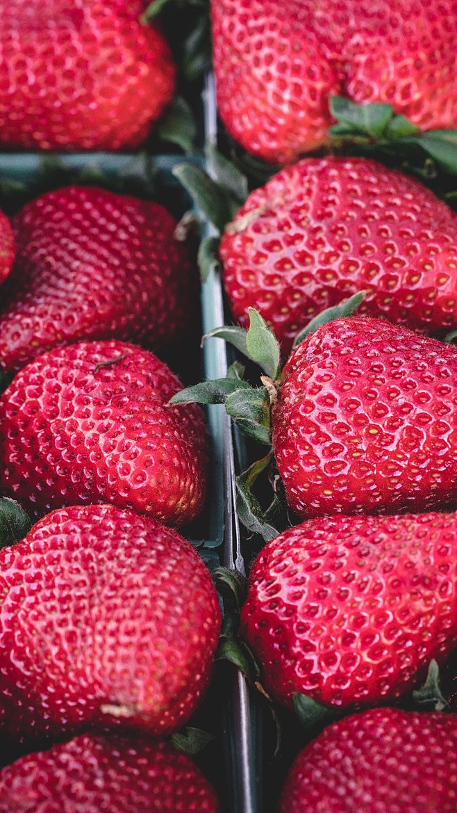 Strawberry · 草莓