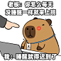 假如和老板说真话…… - 小红书