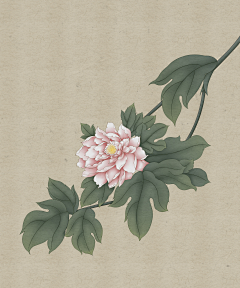 HQ0165采集到插画