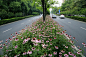 杭州市政道路