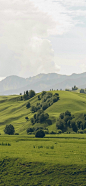 #摄影（风景-山水-春天-绿色系-壁纸）#
