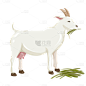 手绘-动物元素贴纸-山羊