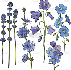 芥末and芥末采集到花