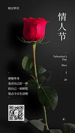 520情人节单身贵族海报