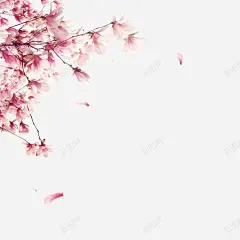 粉色手绘落花 免费下载 页面网页 平面电商 创意素材