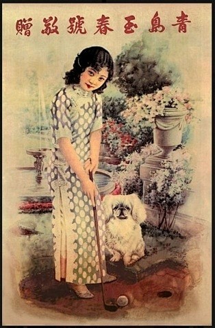 老上海玉春号广告的狗狗