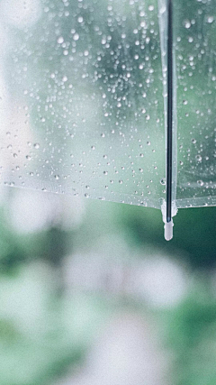 西门吹霾采集到雨