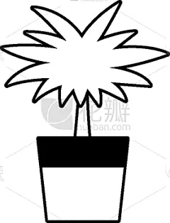 华丽的,植物群,锅,黑白图片,清新,自然美,装饰物,植物,洋葱花,花