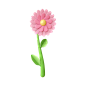 C4D-花朵-3D