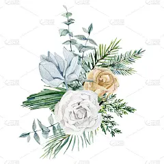 水彩白色和蓝色花束。柔软的玫瑰、桉树枝、冰冻的金花、松树枝、枝叶和小枝。冬季插图贺卡，婚礼卡，婴儿卡