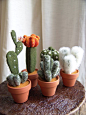 Cactus Plant, Home Decor, Gift, Needle Felted, Green: 
