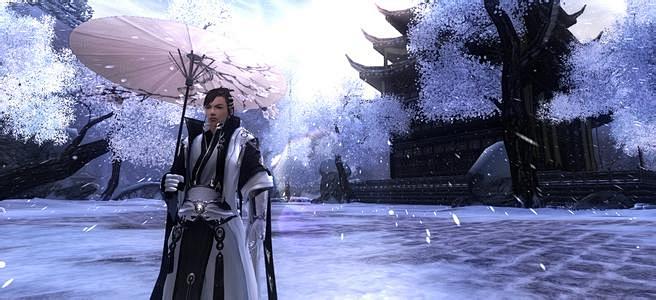 剑网三纯阳定国外观