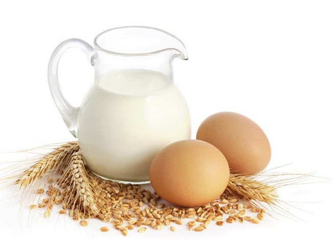 鸡蛋 豆浆 蛋白质