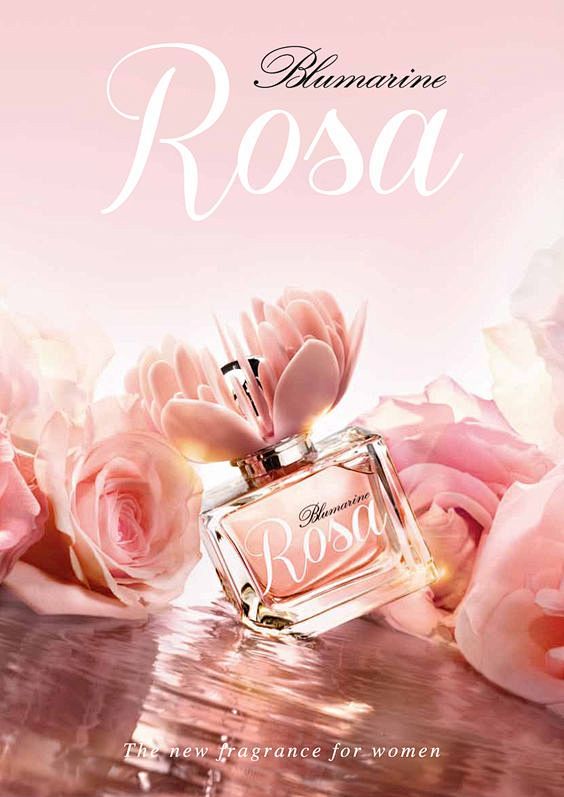 Rosa – The new fragr...
