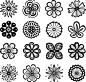 16中精致线条花朵纹样矢量素材，素材格式：AI，素材关键词：花纹,花朵,装饰