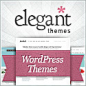 Premium WordPress Themes