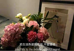 Da胆刁民采集到总有一段文字触及于你