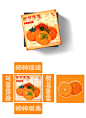 秋季柿子包装盒设计丨水果包装插画