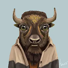动物名片---美洲草原野牛 插画图