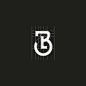 Logo Designer - James Wilson en Instagram: “Letter B + Letter L Monogram Rejected Logo Concept for Client . . . . . #logos #logotype #logodesigns #graphicdesign #corporateidentity…”